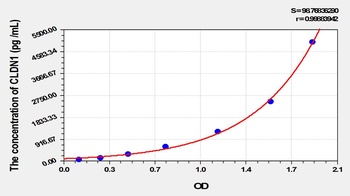 Rat Claudin 1 (CLDN1) ELISA Kit