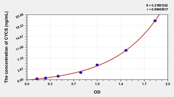 Rat Cytochrome C, Somatic (CYCS) ELISA Kit