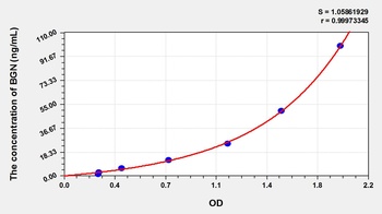 Rat Biglycan (BGN) ELISA Kit