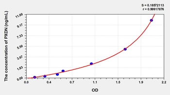 Rat Peroxidasin Homolog (PXDN) ELISA Kit