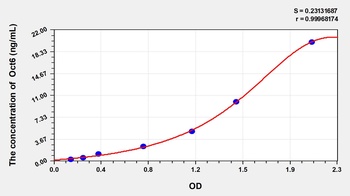 Human Octamer-Binding transcription Factor 6 (Oct6) ELISA Kit