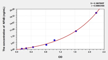 Rabbit Nuclear Factor NF-kappa-B p105 subunit (NF-κB p105) ELISA Kit