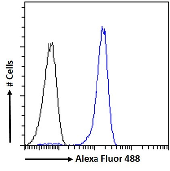 AIF1/IBA1 (isoform 3) Antibody