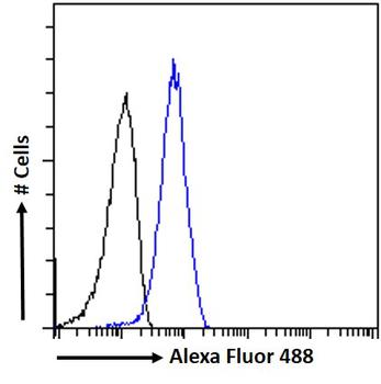 OTUD4 Antibody