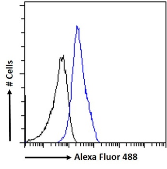 SALL1 (aa29-43) Antibody