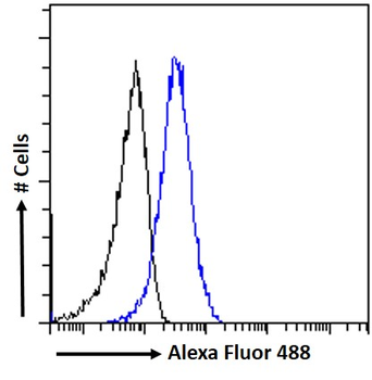 Goat anti-AMHR2 (aa88-99) Antibody