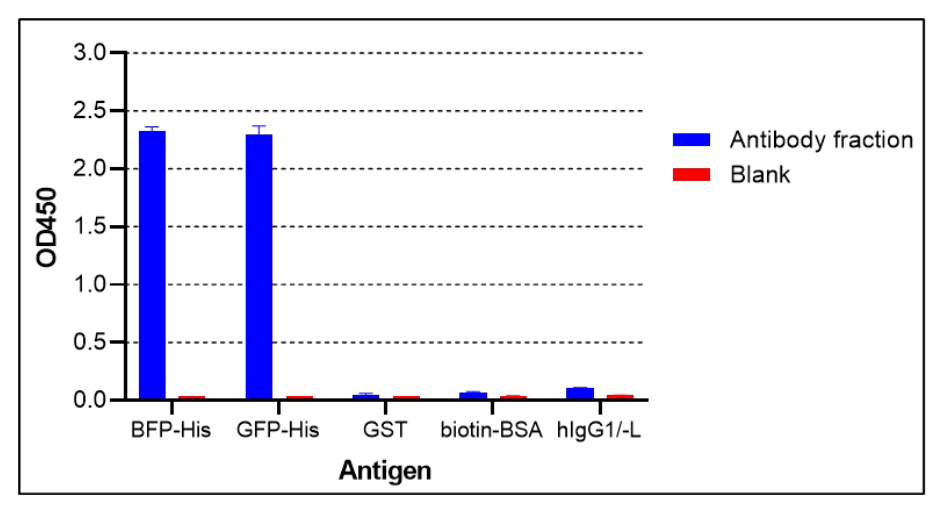 AVS Bio - mouse enhanced blue fluorescent protein antibody