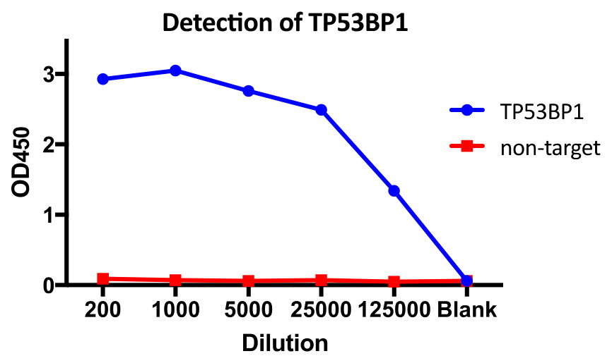 AVS Bio - human human TP53-binding protein 1 antibody