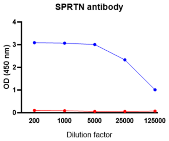 AVS Bio - human SprT-like N-terminal domain antibody