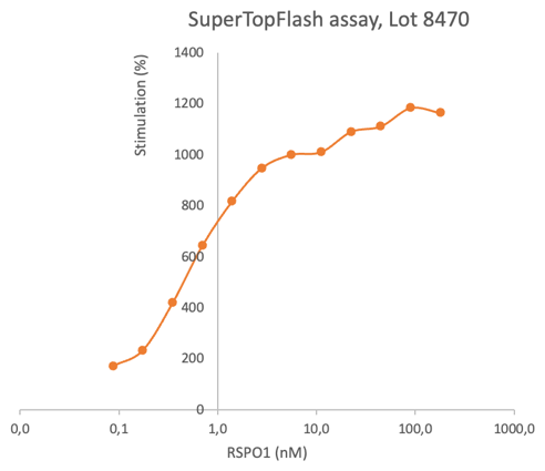 AVS Bio - hRSPO1-his