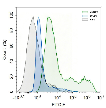 mCherry Mouse Monoclonal Antibody