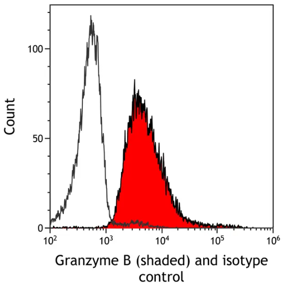 Granzyme B Antibody
