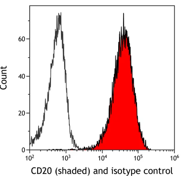 CD20 Mouse Monoclonal Antibody
