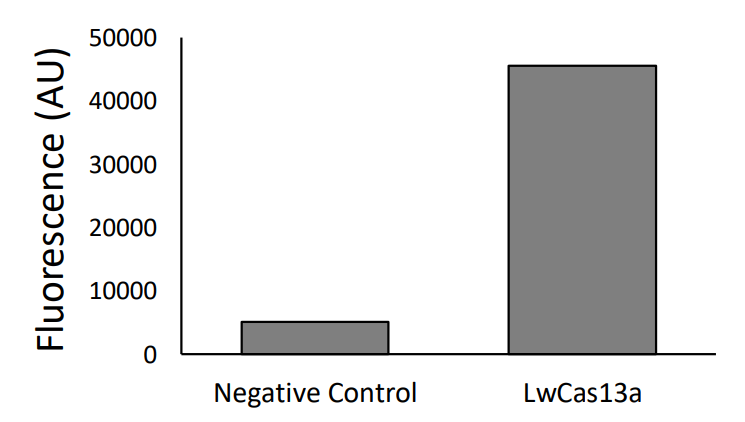 LwCas13a