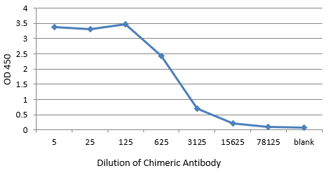 Anti-Dengue envelope protein IgG