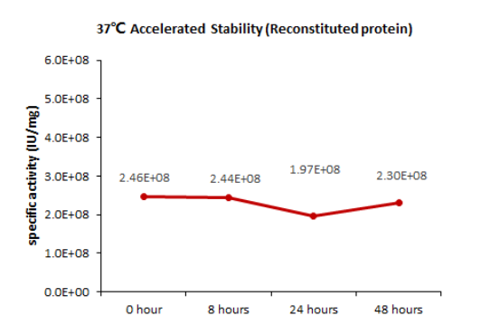 Human IL-6 Protein