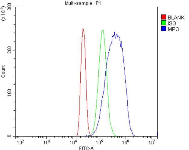 Myeloperoxidase/MPO Rabbit Polyclonal Antibody (APC)