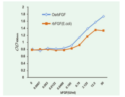 Recombinant Human Basic Fibroblast Growth Factor