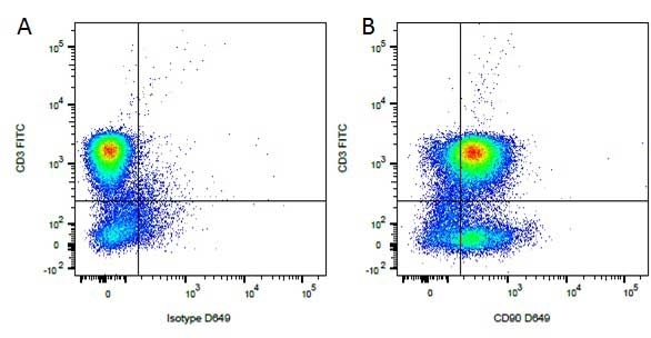 CD90 Antibody