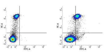 CD163 Mouse Monoclonal Antibody (EDHu-1)