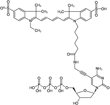 5-Propargylamino-dCTP-Cy5