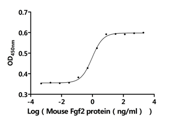 Mouse Fgf-2 protein