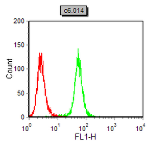 DDR2 Mouse Monoclonal Antibody