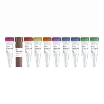 Vazyme - VAHTS Universal V8 RNA-seq Library Prep Kit for Illumina