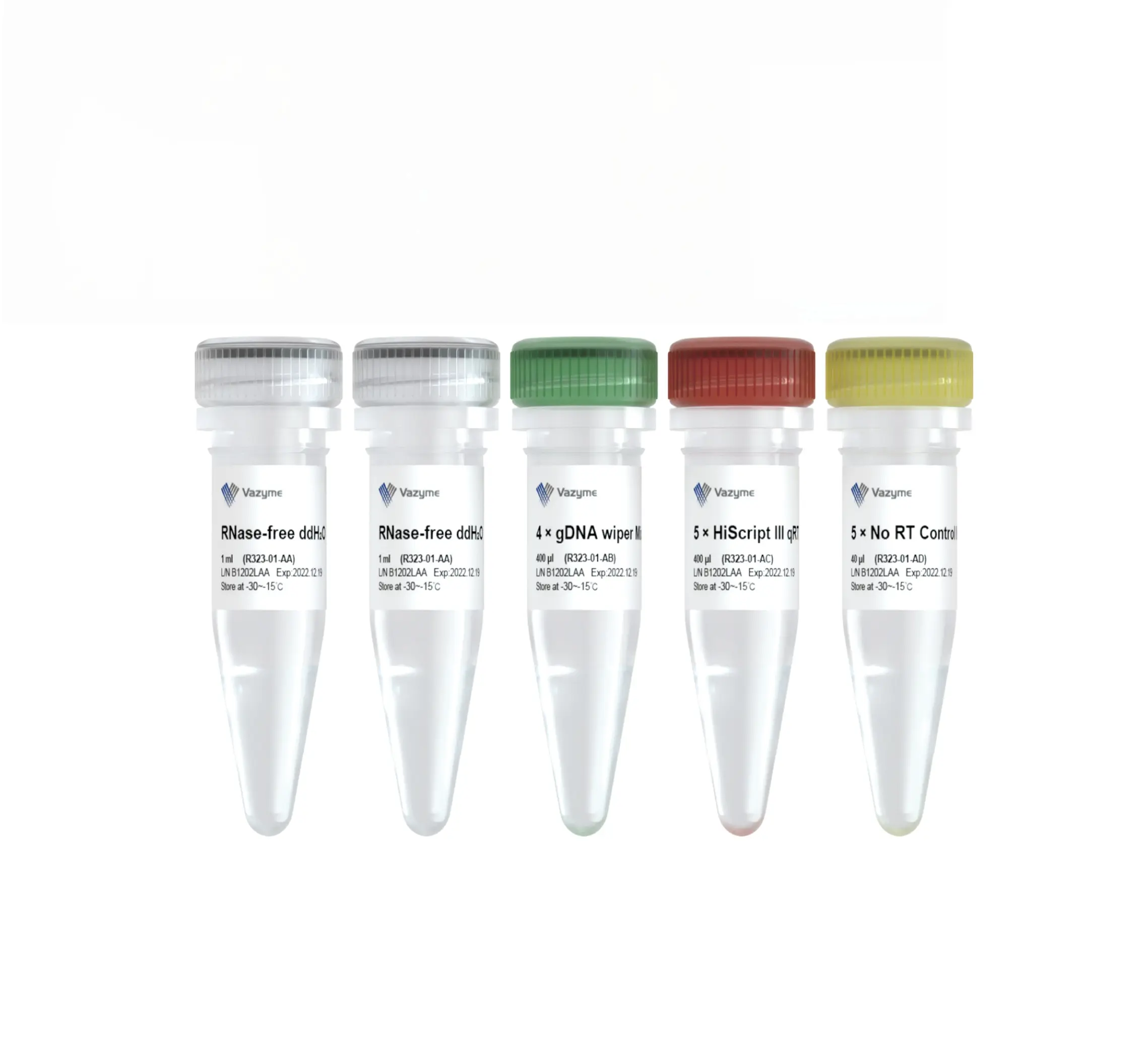Vazyme - FastPure EndoFree Plasmid Mini Kit