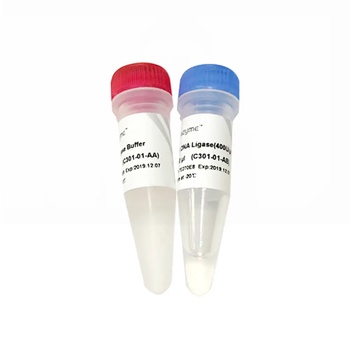 Vazyme - T4 DNA Ligase