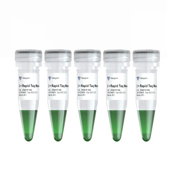 Vazyme - 2 × Rapid Taq Master Mix
