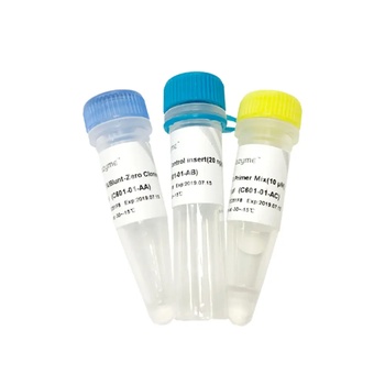 Vazyme - 5 min TA/Blunt-Zero Cloning Kit