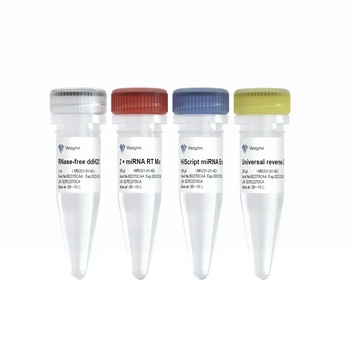 Vazyme - miRNA 1st Strand cDNA Synthesis Kit (by tailing A)