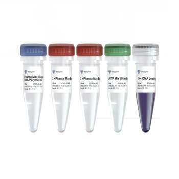 Vazyme - Phanta Max Super-Fidelity DNA Polymerase