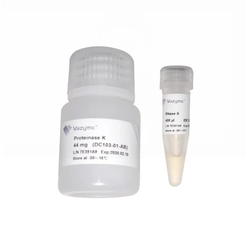 Vazyme - FastPure Bacteria DNA Isolation Mini Kit