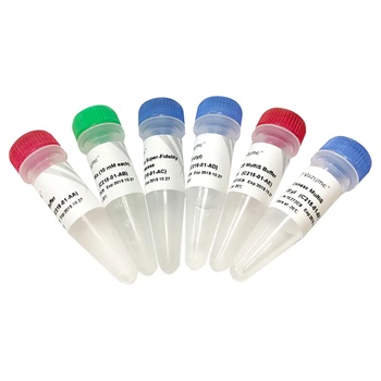 Vazyme - Mut Express MultiS Fast Mutagenesis Kit V2
