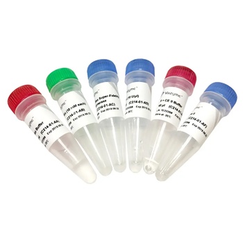 Vazyme - Mut Express II Fast Mutagenesis Kit V2