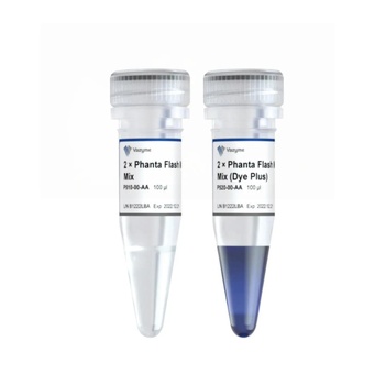 Vazyme - 2 × Phanta Flash Master Mix