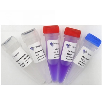 Vazyme - HiScript II One Step RT-PCR Kit (Dye Plus)