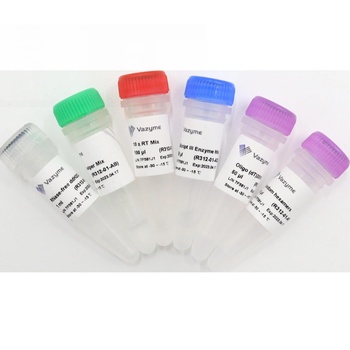 Vazyme - HiScript III 1st Strand cDNA Synthesis Kit (+gDNA wiper)