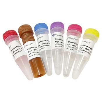 Vazyme - TUNEL BrightRed Apoptosis Detection Kit