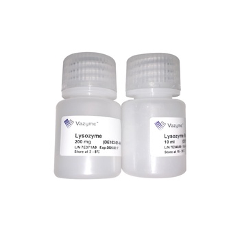 Vazyme - Lysozyme