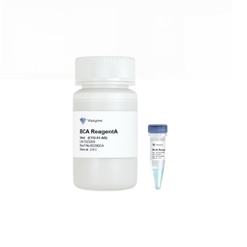 Vazyme - BCA Protein Quantification Kit