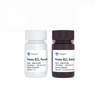 Vazyme - SuperFemto ECL Chemiluminescence Kit