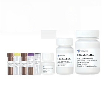 Vazyme - EpiArt Magnetic DNA Methylation Bisulfite Kit