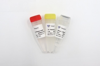 Vazyme - DNase I, RNase-free