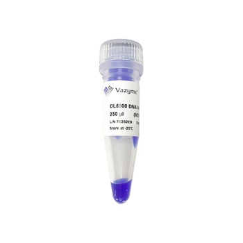 Vazyme - DL5000 DNA Marker