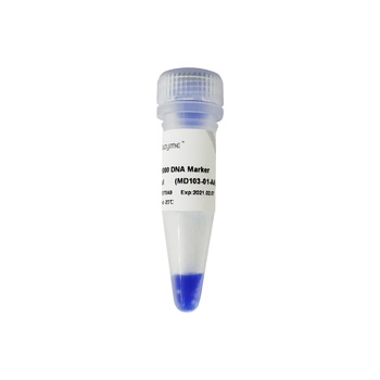 Vazyme - DL15000 DNA Marker