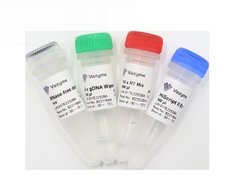 Vazyme - miRNA 1st Strand cDNA Synthesis Kit (by stem-loop)