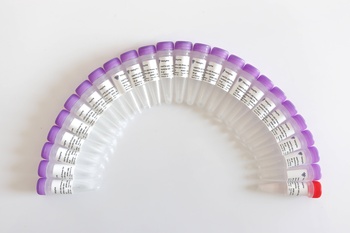 Vazyme - VAHTS Dual UMI UDI Adapters Set 2 for Illumina